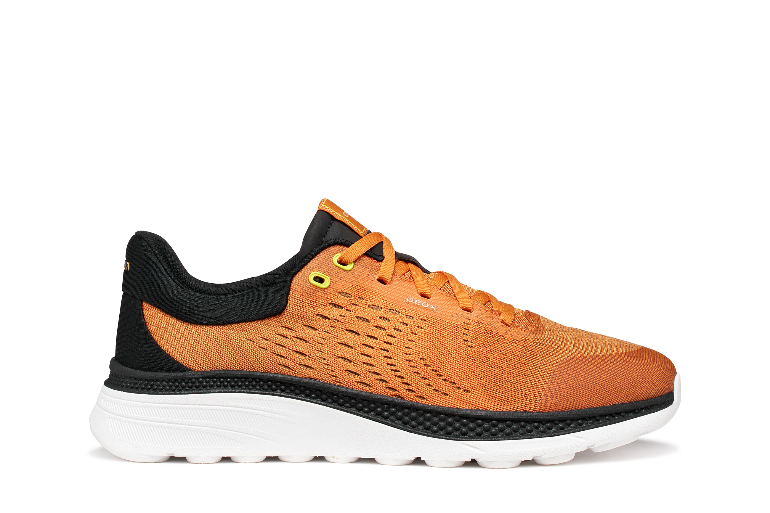 ATLETE, GEOX