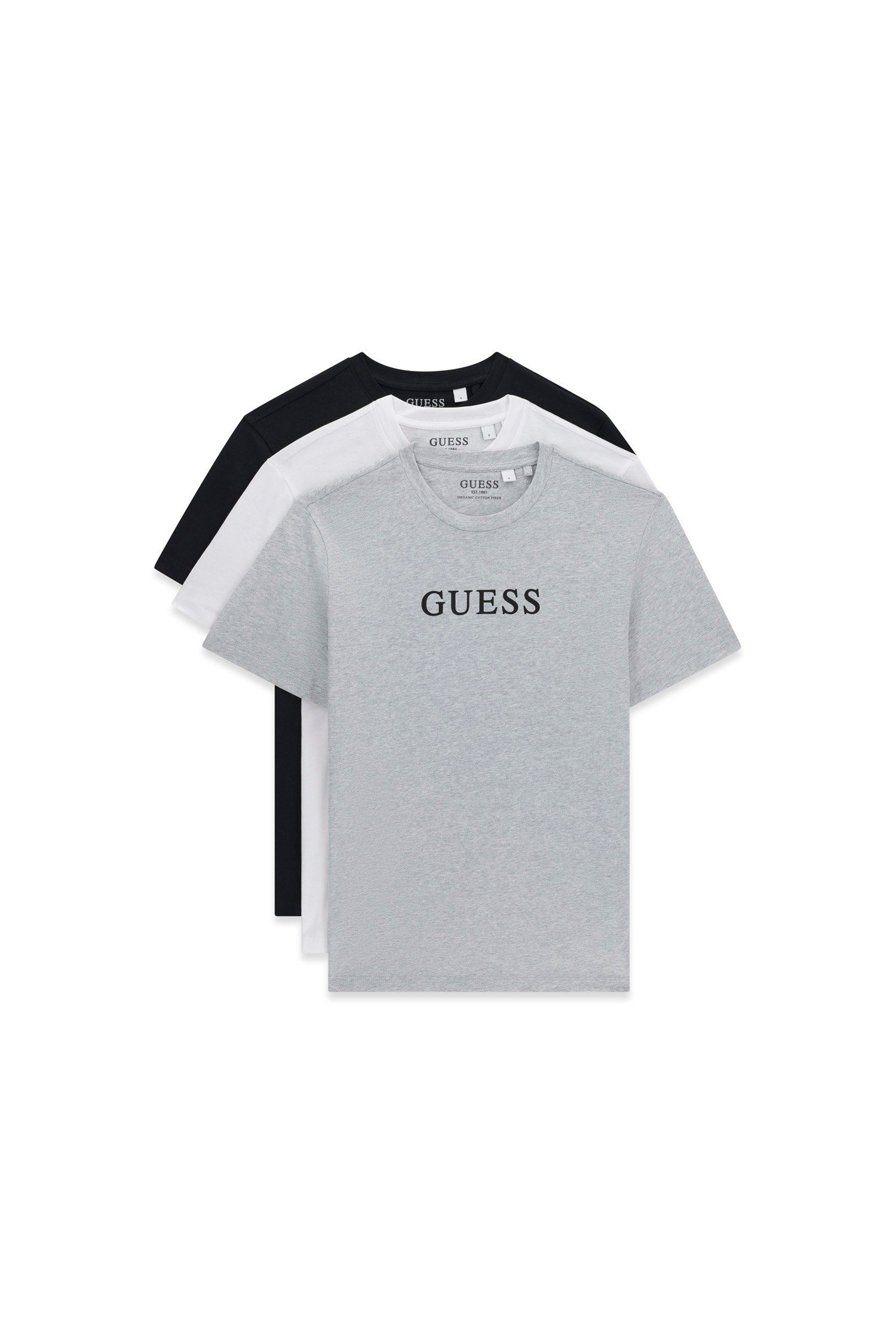 PACKS, GUESS